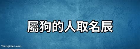 屬狗適合的名字